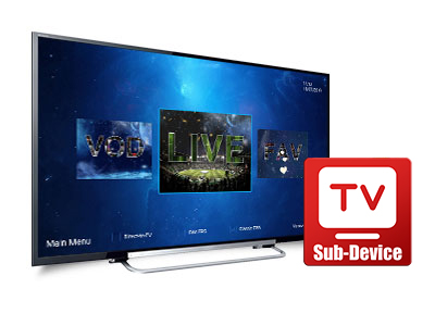 iView HD Plus Sub Device - 12 Month Account